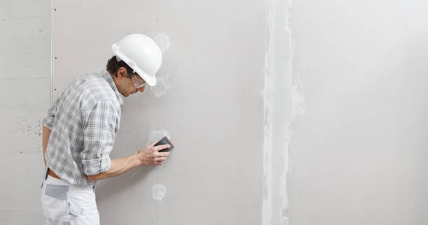 Best Wallpaper Removal and Painting  in Shrewsbury, NJ